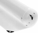 vidaXL Prelata transparenta cu ochiuri 2x4 m PVC GartenMobel Dekor (4018593)