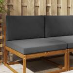 vidaXL Perna pentru canapea de exterior 2 pcs Antracit Poliester GartenMobel Dekor (900829)