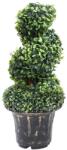 vidaXL Planta artificiala de cimisir cu ghiveci, verde, 59 cm, spirala GartenMobel Dekor (336507)