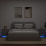 vidaXL Noptiere cu lumini LED, 2 buc. , sonoma gri, lemn prelucrat GartenMobel Dekor (836746)
