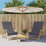 vidaXL Prosoape de plaja, 2 buc. , antracit, 60x135 cm, textil 400 GSM GartenMobel Dekor (362673) Prosop