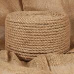 vidaXL Franghie din iuta 100% 14 mm 100 m GartenMobel Dekor (91275)