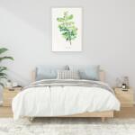 vidaXL Noptiere, 2 buc. , stejar sonoma, 40x39x40 cm GartenMobel Dekor (811203)