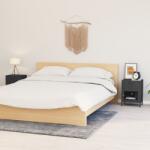 vidaXL Noptiere, 2 buc. , antracit, 40x30x54, 5 cm, otel si sticla GartenMobel Dekor (3095204)