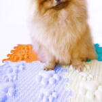 ORTOTO® Covoras ortopedic, senzorial, set puzzle, 8 piese, model Lucky Paws, textura rigida, Multicolor (OTO-B-LPW)