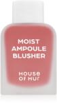 House of Hur Moist Ampoule Blusher fard de obraz lichid mini culoare 03 Rose Brown 10 ml