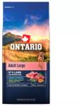 ONTARIO Adult Large Bárány&Barna Rizs 12kg