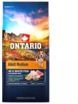 ONTARIO Adult Medium Hal&Barna Rizs 12kg