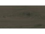 Domino Tc Pietra Aurea Wood 30, 8x60, 8 Falicsempe I. O. + (5900199285934)