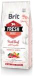 Brit Brit Fresh kutyaeledel nagytestű kölyökkutyáknak marha és sütőtök 2.5kg - Lejár: 2026.07. 08
