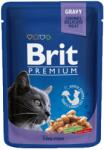 Brit Premium Cod Fish Tőkehal tasak 100 g