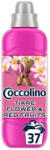 Coccolino Öblítő koncentrátum 925 ml (37 mosás) Coccolino Tiare Flowers&Red Fruits (3898_6703_C35512_82510287) - tintasziget