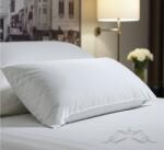 Ralex Pucioasa Perna HORECA pentru dormit 70x70cm (RPU-94918)