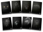 Pigna Monocromo Black A4 38 листа карирана тетрадка P1111-0387 (P1111-0387)