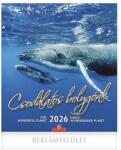 CSG 2025 Чудесна планета 30x34cm стенен календар FN U10CS (FNU10CS)