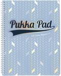 Pukka Pad Спирална тетрадка с линийка PUKKA PAD A/4 100 страници Glee светло синьо 26149 (26149)