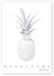 Pigna Monocromo Silver A4, 38 листа, с телбод, с подвързия P1111-1290 (P1111-1290)