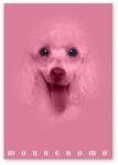 Pigna Monocromo Pink A4, 38 листа, с телбод, с подвързия P1111-1292 (P1111-1292)