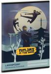 Ars Una Ninjas in the dark 25 (5457) A5 тетрадка за упражнения 50844579 (50844579)