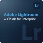 Adobe Lightroom w Classic for Enterprise EDU 50 - 99 User (30002045CB03A12)
