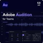 Adobe Audition for Teams EDU 10 - 49 User (30001892CB02A12)