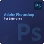 Adobe Photoshop for Enterprise Gouvernment (GOV) 10 - 49 User (30002802CC02A12)