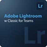 Adobe Lightroom w Classic for Teams Gouvernment (GOV) 10 - 49 User (30002389CC02A12)