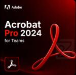 Adobe Acrobat Pro 2024 for Teams Gouvernment (GOV) 100+ User (30006352CC04A12)