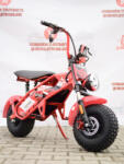ULTRA Motocicleta Electrica Copii ILX1000 VIPER Crosser , 1000W Brushless, 40 km h, Roti 14, , Autonomie 20 km (C1075)