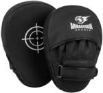 ARMAGEDDON Boxing Focus Mitts [20х30 cm]