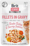  Brit Care Cat Fillets in Gravy With Tender Turkey & Savory Salmon 12x85 g