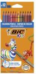 BIC Creioane colorate, set, BIC KIDS "Evolution Stripes", 12 culori diferite, 12 buc