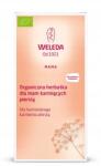 Weleda Bio Tea Szoptató Anyáknak (4001638095136)