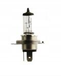 NARVA Izzó Narva H4 12V 100/55W P43T Rallye 1 db