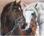 NORIMPEX - Puzzle Tablou Diamant: Portret de doi cai 30x40cm - 1 - 39 piese