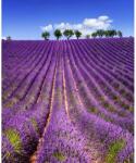 Media MÉDIA Lavanda5 matrica, levendula, 135 x 225 cm (FOTOTAP2579)