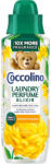 Coccolino mosóparfüm Elixir Summer Bouquet - 20 mosás 460ml