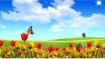 Media Öntapadós tapéta Pillangók és tulipánok, 350 x 250 cm (FOTOTAP11751)