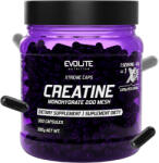 Evolite Nutrition Evolite Creatine 300 Kapszula 1125mg 330g Extreme Kreatin Monohidrát (EVO165)
