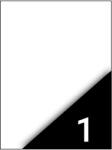 Fortuna Етикет FORTUNA 210x297mm универсален 100 етикета/кутия 100 листа/кутия 01.01308 (01.01308)
