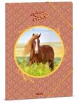 Ars Una Гумена папка ARS UNA A/4 My Sweet Horse 50213580 (50213580)