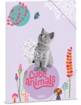 Ars Una Cute Animals-Kitten 24 (5368) Папка с каучук A4 50213689 (50213689)