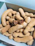  Tamarind friss 450 g (8857121197032)
