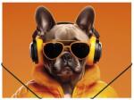 Panta Plast Гумена папка, 15 мм, PP, A4, PANTA PLAST, "Cool dog (0410-0064-60)