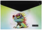 Oxy Irattasak OXY patentos A/4 Chameleon 8-96626 (8-96626)
