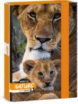 Ars Una Máté Bence-Lion 24 (5433) A5 книжка кутия 50864331 (50864331)