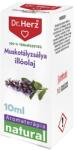  ЕТЕРИЧНО МАСЛО ОТ ИНДИЙСКО ОРЕХЧЕ 10ml