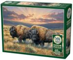 Cobble Hill Puzzle Cobble Hill din 1000 de piese - Câmpiile prăfuite (40192) Puzzle