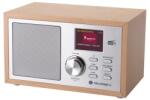 GoGEN DAB620BTCS РАДИО DAB (DAB620BTCS)