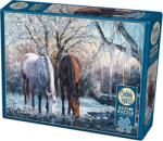 Cobble Hill Puzzle Cobble Hill din 500 de piese - La marginea pârâului înzăpezit (45056) Puzzle